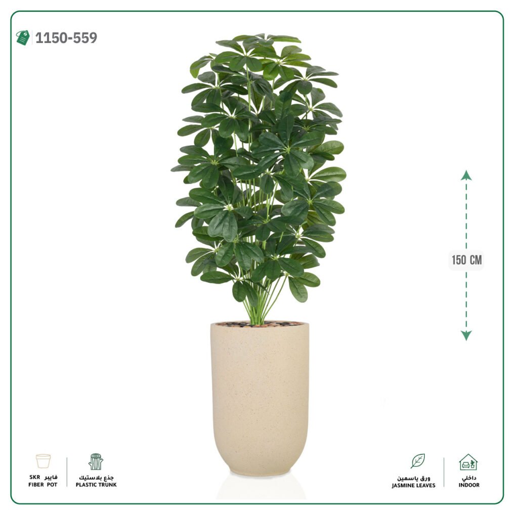 شجرة ورق موز 36 فرع
